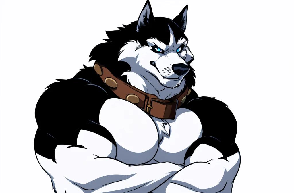 alaskan malamute, masculine, male, anthro, very muscular:1.5, tight muscles:1.2, well defined muscles:1.2, pectorals:1.5, muscular arms, wide chest, muscular chest, wfa style, detailed eyes, white background, proud, serious expression, arms crossed, blue eyes, collar, detailed collar