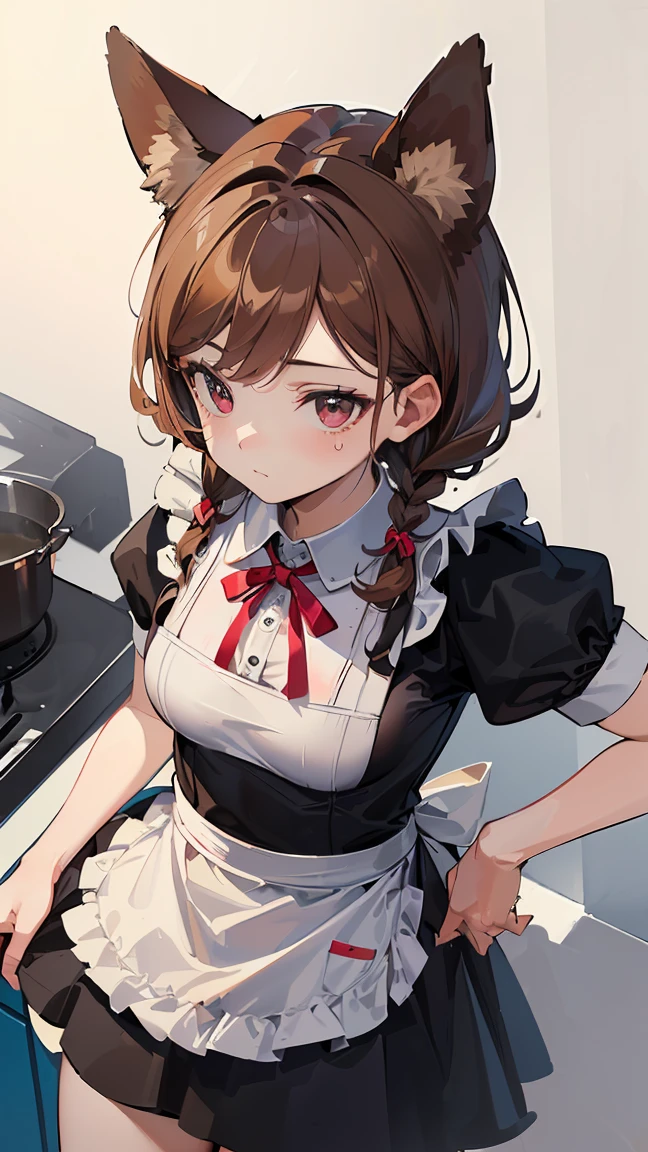 (((Best quality, 8k, Masterpiece: 1.3)), ((best quality)), ((masterpiece)), (detailed), perfect face, perfect body, (detailed skin:1.3), (intricate details), brown hair, long braid, ribbon, dog ears, maid, maid apron, cooking, kitchen, from above