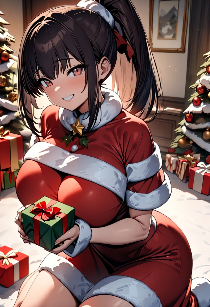 (  Masterpiece ,   top quality:1.2), (((One anime girl))) , (((Alone))),   Expressive Eyes ,  sexy, Santa girl costume, (((Dark-haired ponytail ))). ((( straight hair))), (smile), (((Reddish brown eyes))), ((( holding a present with both hands))), Christmas decorations, (Big Breasts), 嬉しそうなsmile,  Living Room , kneeling