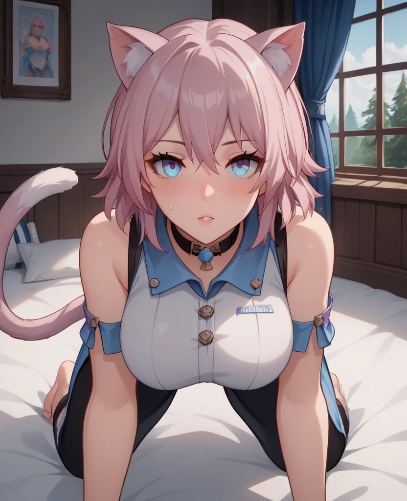 score_9,score_8_up,score_7_up, source_cartoon,1girl, adult woman, ((alluring)), perfect body, solo, mesh outfit, curvy, sultry, bedroom, (on all fours), white crop shirt, sleeveless, cat tail, cat ears, warm, short Sweatpants, sharp focus, dynamic light, natural light, looking up at viewer, ((march 7th)), pink hair, short hair, colabone, windows, tree, cinematic view, glowing skin, blush, blue eyes, large breast, curtain, dark light, big bed, seducative