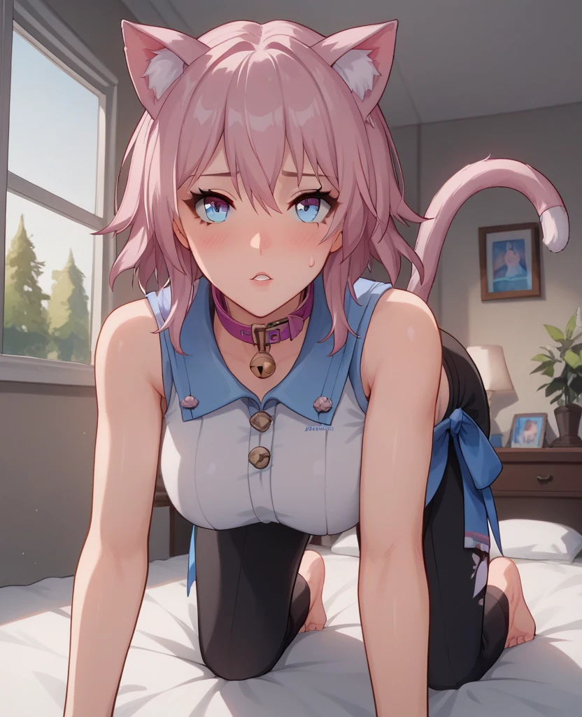 score_9,score_8_up,score_7_up, source_cartoon,1girl, adult woman, ((alluring)), perfect body, solo, mesh outfit, curvy, sultry, bedroom, (on all fours), white crop shirt, sleeveless, cat tail, cat ears, warm, short Sweatpants, sharp focus, dynamic light, natural light, looking up at viewer, ((march 7th)), pink hair, short hair, colabone, windows, tree, cinematic view, glowing skin, blush, blue eyes, large breast, curtain, dark light, big bed, seducative, pink cat collar