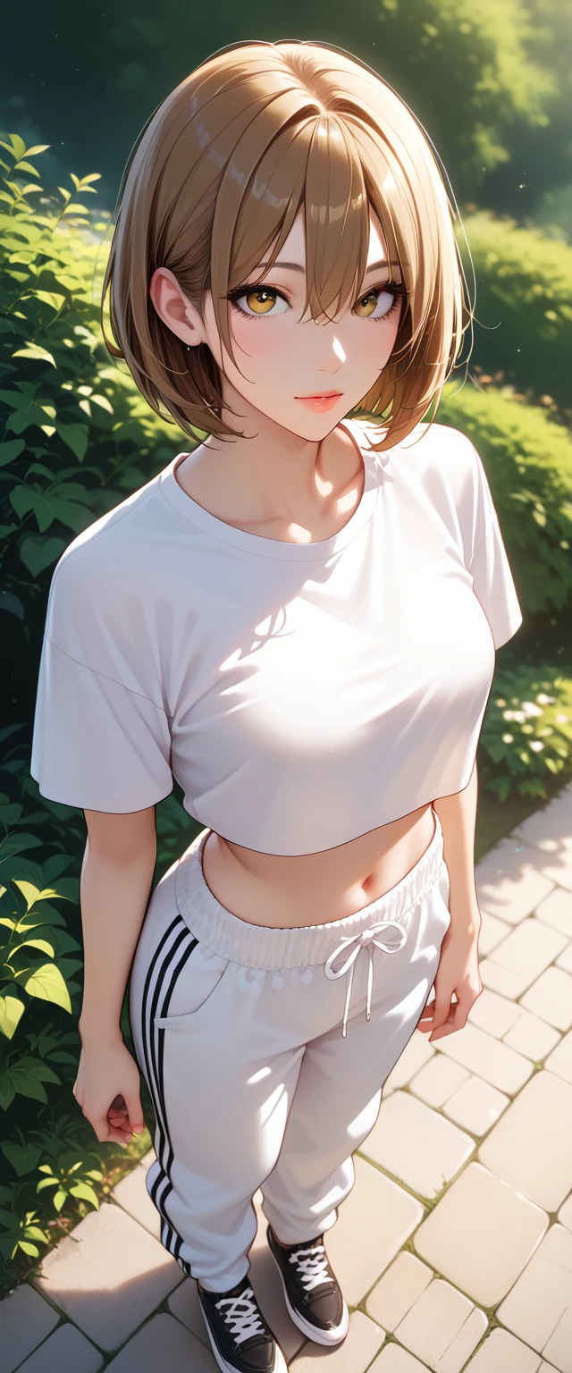 Score_9, Score_8_up, Score_7_up, Source_anime, anime art, anime style, very aesthetic, masterpiece, high quality, 1girl, pretty girls, brown hair, bob cut, hair between eyes, (crop top t-shirt, baggy jogger pants, shoes), beautiful eyes, female focus, looking at viewer, ((above view)) ((close up shot)), soft light, ((solo)) detailed, very high resolution, no blurry image, (full body), standing, beautiful, serene expression, intricate details, detailed background, outdoors