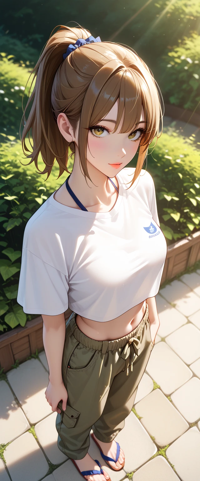 Score_9, Score_8_up, Score_7_up, Source_anime, anime art, anime style, very aesthetic, masterpiece, high quality, 1girl, pretty girls, brown hair, medium hair, ponytail, (crop top t-shirt, baggy cargo pants, flip-flops), beautiful eyes, female focus, looking at viewer, ((above view)) ((close up shot)), soft light, ((solo)) detailed, very high resolution, no blurry image, (full body), standing, beautiful, serene expression, intricate details, detailed background, outdoors