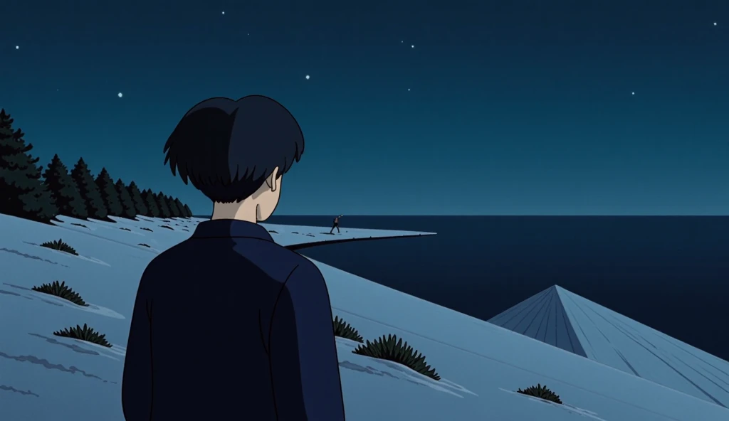 Back view of an 18-year-old boy . Oval face,  white skin , Deep blue hair ,  wave jeans hair, Comfortable and warm clothes ,   He is watching the winter sea from the beach at night. Snowy sand and dark sea . The boy is looking at the sea .  Looking at him from afar .