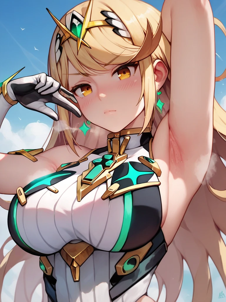 score_9, score_8_up, score_7_up, score_6_up, score_5_up, score_4_up,(Mythra),Big Breasts, (Hollow Eyes), (half open eyes), (Closed Mouth),blush,(Exposing her breasts:0.5),(Raise your left hand to show your armpits),(steamy),Boobs close up