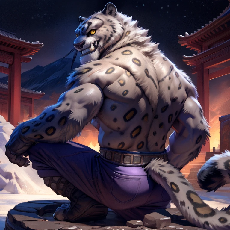 (by taran fiddler), (by darkgem:0.8), (by chunie:1), masterpiece, grey fur, nipples, navel, portrait, seductive, looking at viewer, smile, grin, teeth, (tailung:1.2), snow leopard, (gold eyes), detailed eyes, male, solo, anthro, crouched on fountain, (looking back), (detailed temple background), Chinese temple, (night), (Purple shorts)