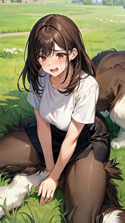 Masterpiece, top quality, highest definition, one adult female, slit eyes, dark hair, one length, brown eyes, model like, beautiful, perfect proportions. Shirt, mini tight skirt. She is on all fours in a grassy field. A large dog is mounted on her back, and she and the large dog are mating. The dog is holding the woman's back.
The woman's face is bright red and flushed, her mouth open and both eyes closed,
She looks like she is crying.