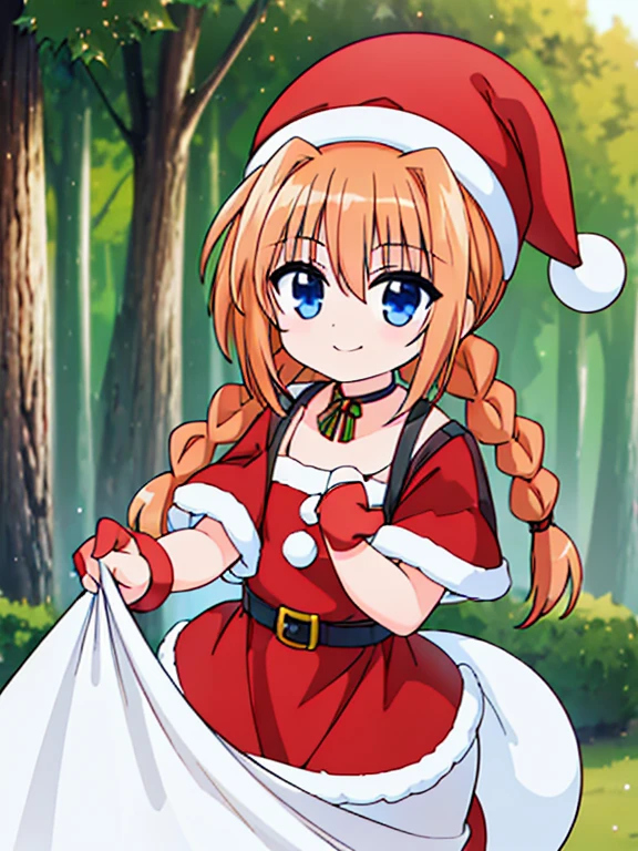 (((Christmas Santa Claus · Santa hat · costume · vita · holding a large white cloth bag · smile)))