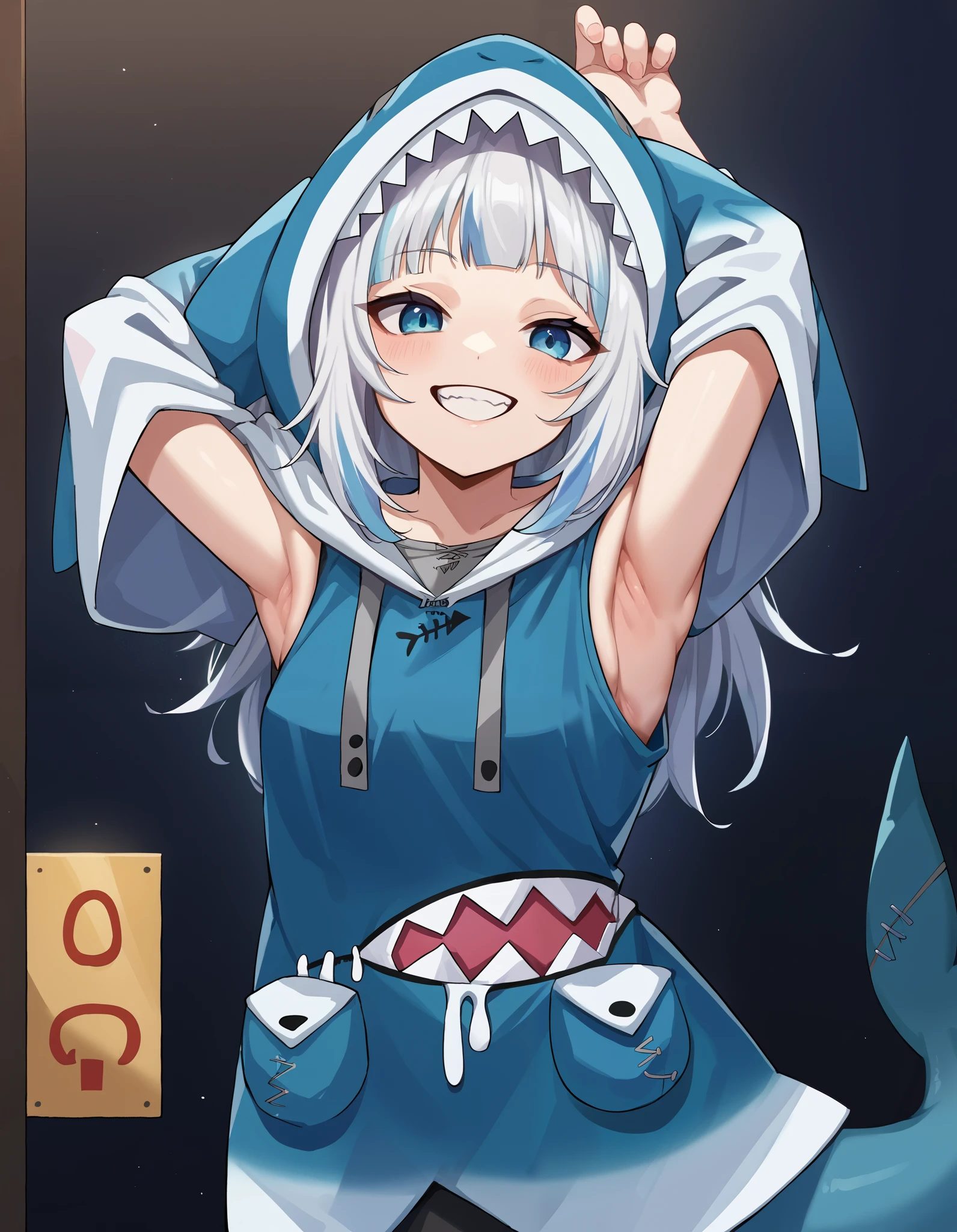  score_9,  score_6_up,  source_Anime,  1 girl, Alone,  penetrates , adult, (Prompts vary by image) , ((Alone)), ((no text)), ((smile)), shark hoodie clothes,  armpits