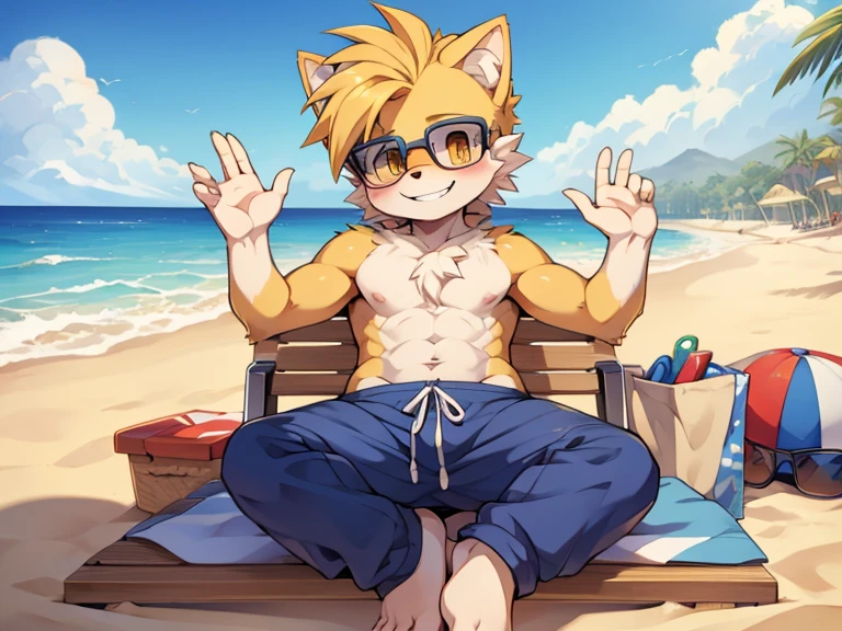 Furry boy cute hedgehog short hairstyle detailed body shirtless beach pants sunglasses yellow eyes wide smile modern art best high quality h 