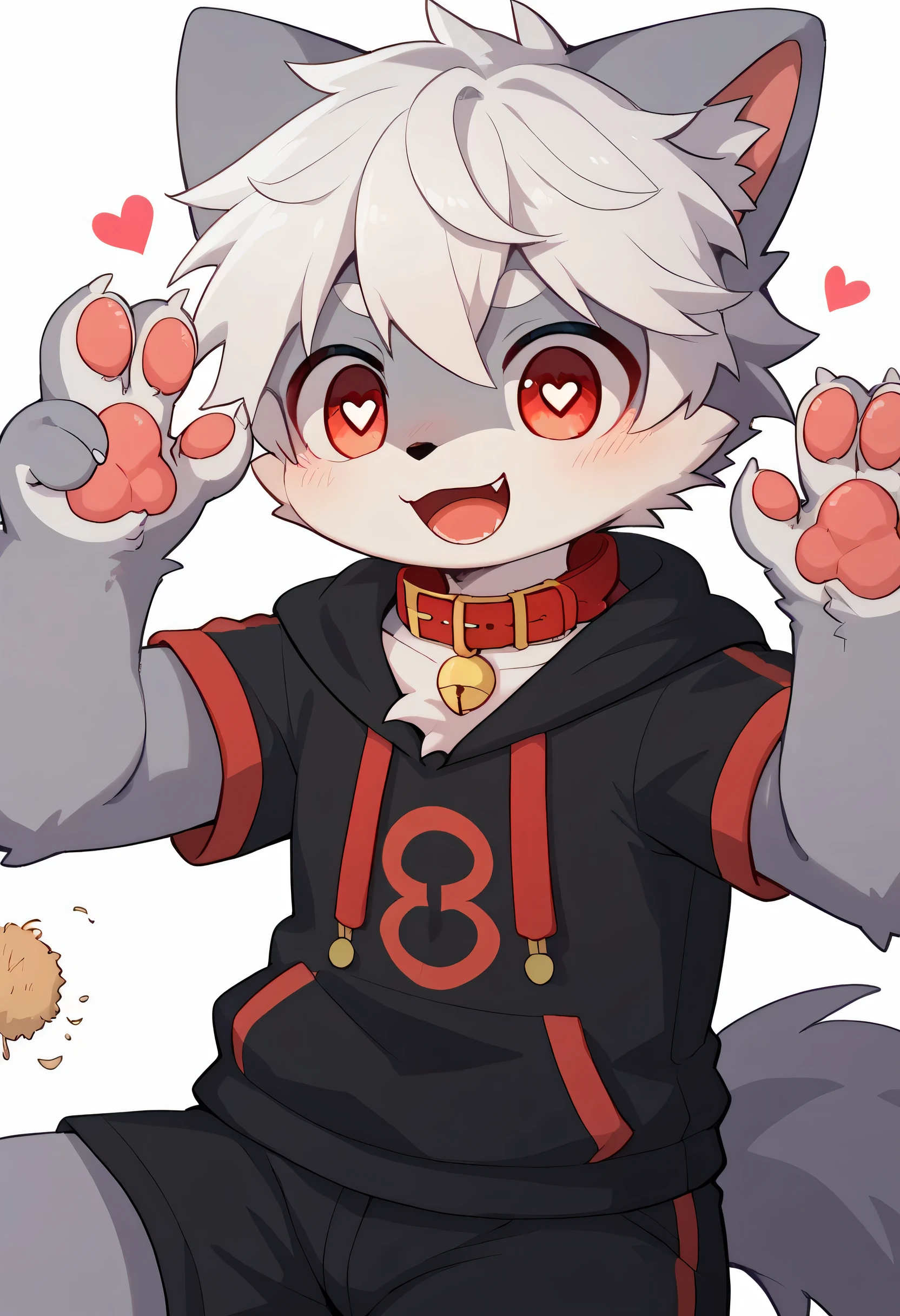   very detailed bustな,  very detailed bust, gray fur white hair ,,male,  excited to see bones  , Wolf pelt, excited,participate,  cute face,  something like fluffy fur ,Horny maleの子,Red collar,Cute ears ,Fluffy ears ,Fluffy ears , show me your legs , show me paws , Red collarと紐を持っている, Red collarと紐を持っている, cute fur maleの子 , maleの子,  heart eyes ,Horny maleの子 , Black Back ,White background, blush nose ,Alone,Dropped ears,  black shorts,  black short sleeve hoodie 