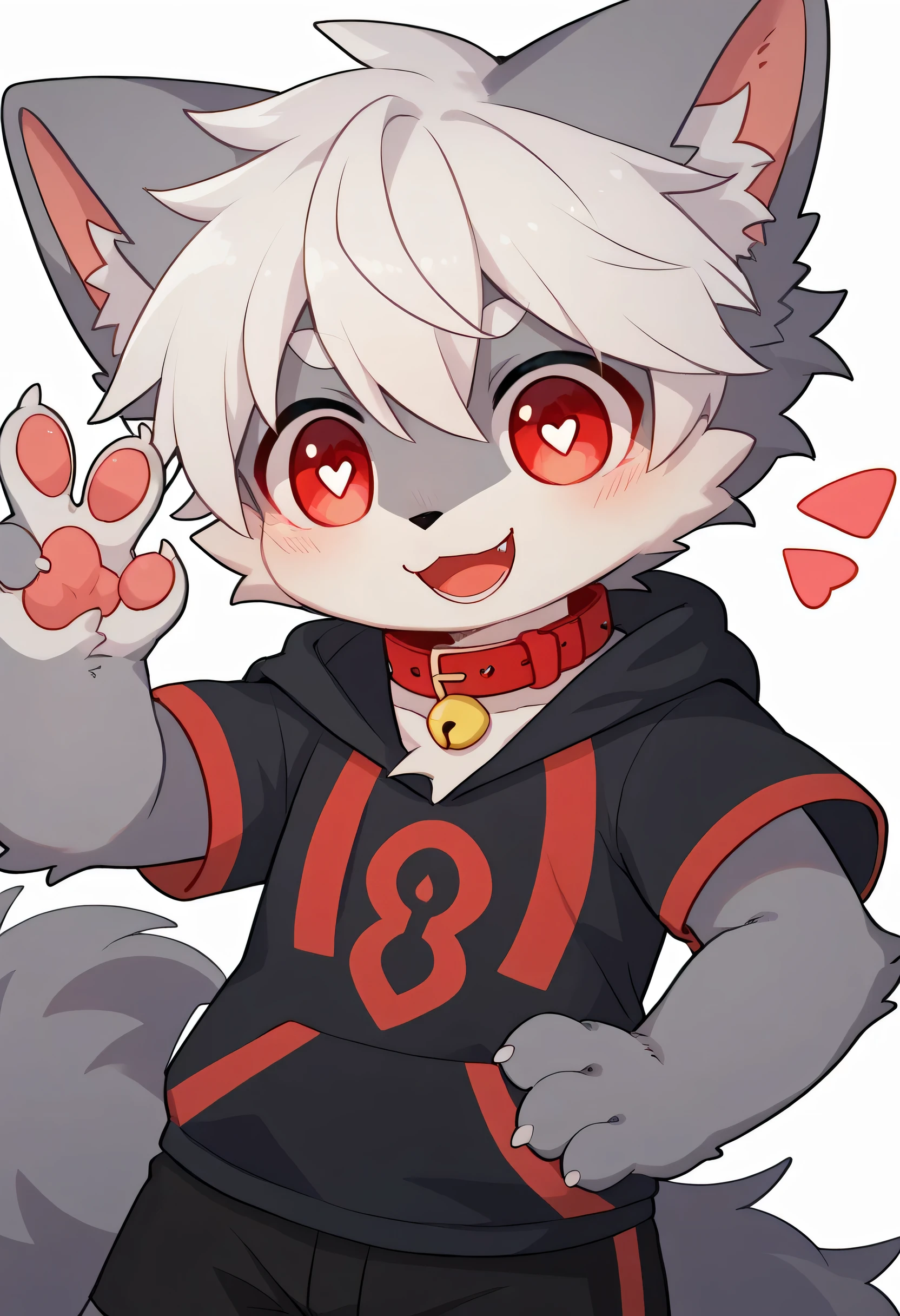   very detailed bustな,  very detailed bust, gray fur white hair ,Age 15,male,  excited to see bones  , Wolf pelt, excited,participate,  cute face,  something like fluffy fur ,Horny maleの子,Red collar,Cute ears ,Fluffy ears ,Fluffy ears , show me your legs , show me paws , Red collarと紐を持っている, Red collarと紐を持っている, cute fur maleの子 , maleの子,  heart eyes ,Horny maleの子 , Black Back ,White background, blush nose ,Alone,Dropped ears,  black shorts,  black short sleeve hoodie 