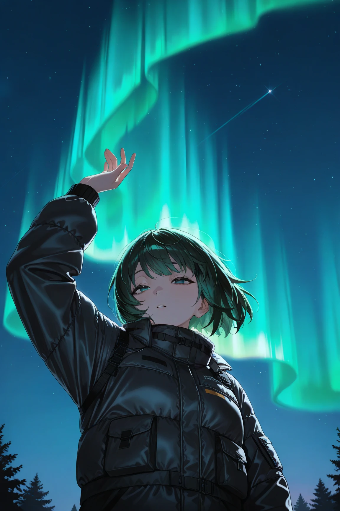 (A girl, the girl is , the girl has short hair, the girl has an airy bob, the girl has dark green hair, the girl has half-open eyes, the girl is watching the aurora, the girl is looking at the sky, the girl is looking up, the girl is wearing a black down jacket, the down jacket has fur, the girl has one hand raised up) Aurora, Iceland, outdoors, angle from below, night, the person is small and positioned in the bottom right, only the upper body of the person is visible