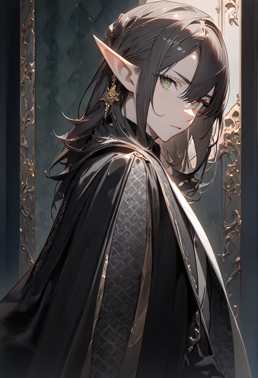 ((masterpiece), (best quality), (8k) ,(4k)) , Solo, ((male), (elf), (long ears elf)), ((dark grayish hair), (dark greenish eyes), (hair ornament)), ((finely detailed eyes and detailed face), (looking at viewer), (from side)), ((meticulous clothes), (formal clothes), (combination of white and black coat), (half cape by the shoulders), (patterned clothes)), ((majestic looks), (sharp looks)), shadows, inspired by Asukaziye artist : ask, art style : ask