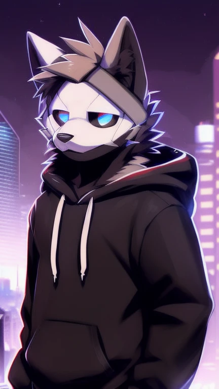 by zackary911, (café con soda:1.1), Hioshiru, zackary911, pure, anthropo, male, Alone, Clothes, by, 2022, black Clothes, hoodie, Clothes de abrigo negra,  eyes with eyelids , black hoodie,  cyberpunk city background, 