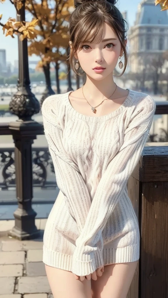 (Cowboy shooting), Touch from the front, Look at the viewer, (Focus on face), Shopping,
1 girl, cute girl, slender, small face, (((shiny skin))),
(((white knit sweater, crevice, long sweater, fitted sweater))), black long boots,
((brown hair)), (((bun))), ((short bangs)),
shiny pink cheeks, glossy pink lips, pink eyeshadow, dark eyeliner, dark mascara,
sexy earrings, sexy necklace,
((outdoors)), Europe, (((Paris cityscape))), autumn, leaves,
blurry background, amazing, epic scale,
(highest quality), (high quality), ( masterpiece ), (4k, 8k, RAW photos), (highly detailed face and skin texture),
(very elegant and beautiful, perfect detail, super detailed), Beautifully detailed whole body, depth of boundary,