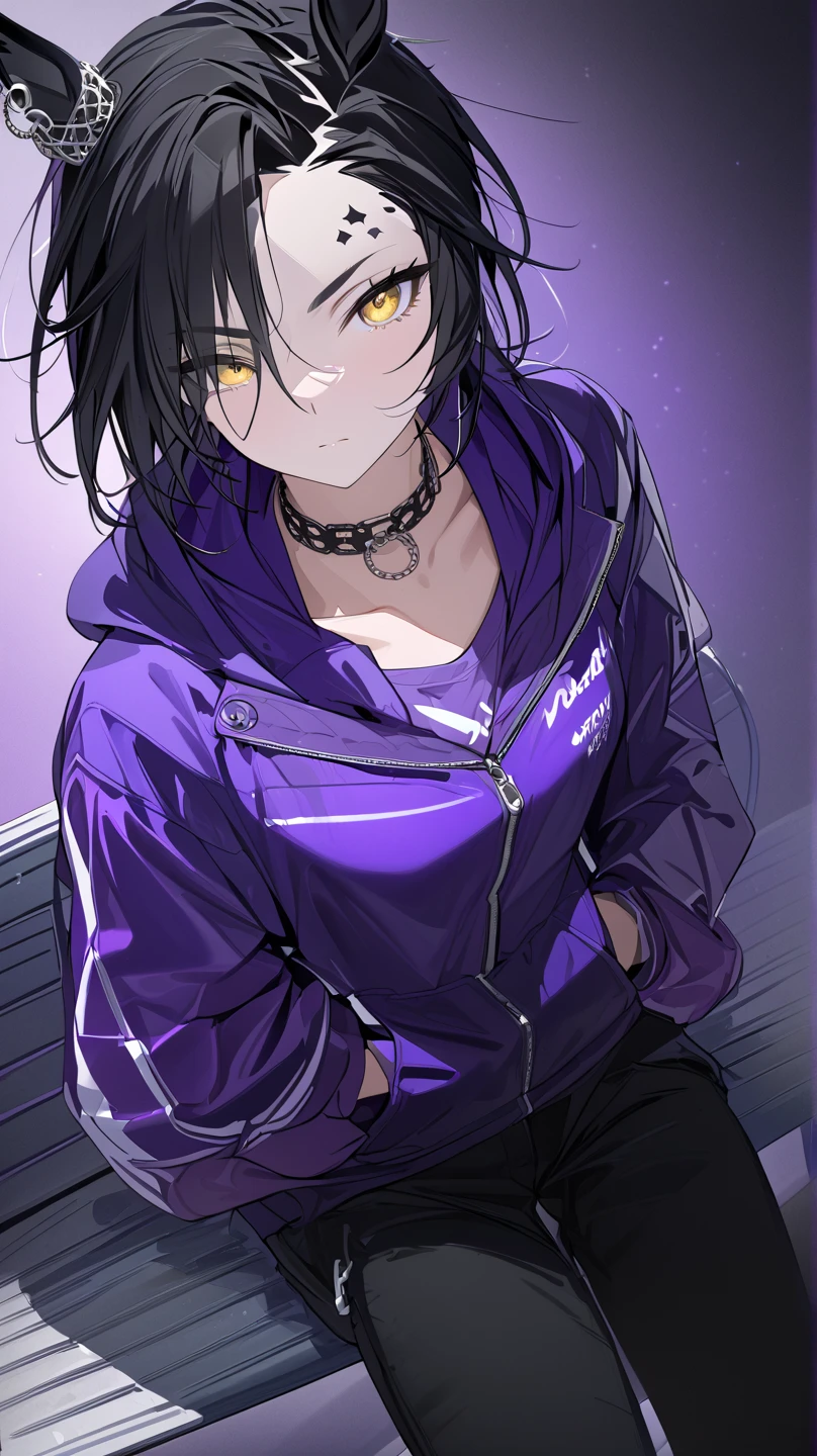  top quality , masterpiece,  high definition ,  Ultra Fine,  high detail, accurate, masterpiece, 

 Shakur  \(Horse Girl\),
 sitting, On the bench,  Park at night
choker ,  n , purple hoodie,  hooded jacket,  Long Sleeve ,  sleeves over the wrist ,  off shoulder,  purple shirt, colorful open jacket(green,green,white, pink),  black pants,  sneakers, hands in a jacket,Hands in pockets, closeup ,Hide your hands,Turn your gaze
1 girl, solo, Horse ears, silver piercing above left eyebrow, golden eyes, 
 high angle, black hair,clavicle