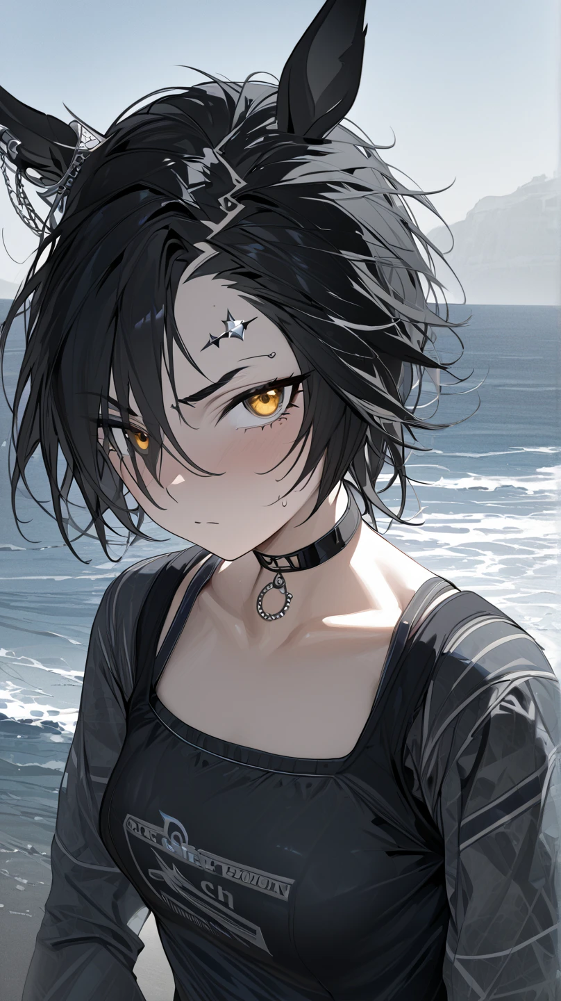  top quality , masterpiece,  high definition ,  Ultra Fine,  high detail, accurate, masterpiece, 

 Shakur  \(Horse Girl\),

 choker , with a little bit of sadness,Swimsuit,seafront
1 girl, solo, Horse ears,  silver piercing above left eyebrow, golden eyes, 
 high angle, black hair,clavicle, staring at me ,