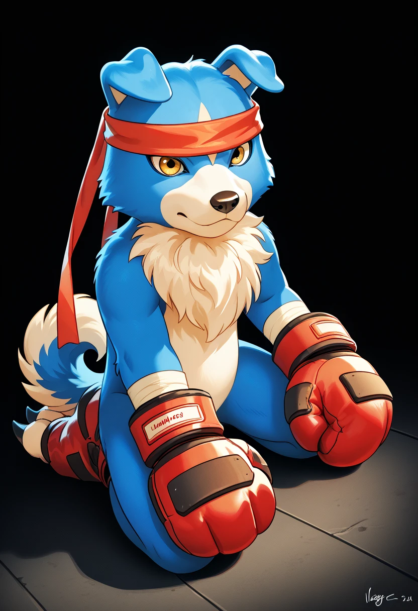 source_anime, cartoon, gaomon (character), digimon (creature), dog boy, blue body, headband, yellow eyes, boxing gloves, white background, detailed, (cel shaded, flat colors):1.5, full body, by wfa, by negger, kneeling, fists against floor, confident, strong posture