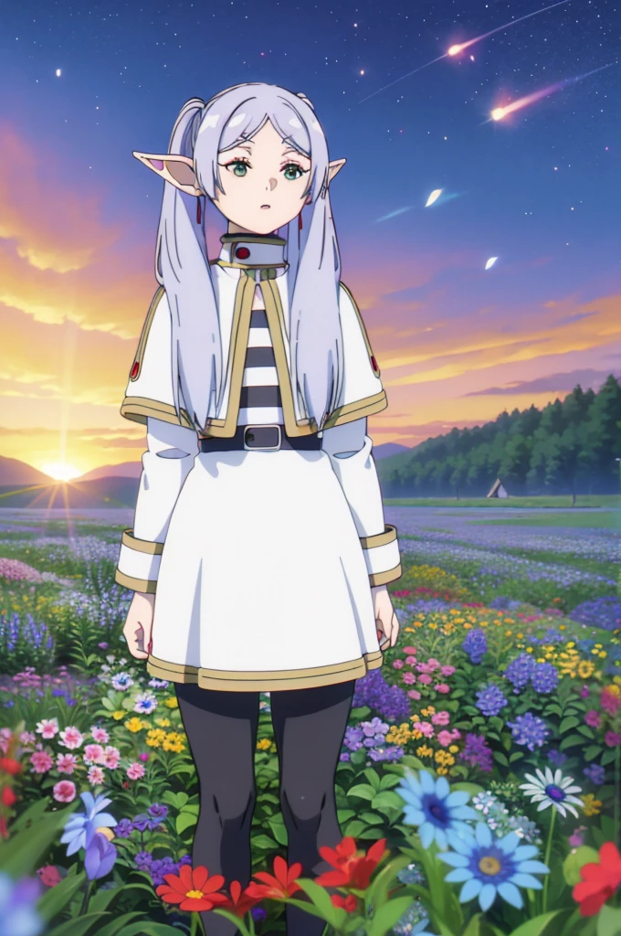 masterpiece,   illustrations,  top quality , 8k,   1 girl, Alone, Frielen,   long hair,   Twin Tails  , (  green eyes:1.2),  Grey Hair,   stars , Elf Frielen ,1 Elf Girl,Alone,whole body，
 capelets, jacket, striped shirt,Flower Field，Blue Flower， Flying Petals ，青いFlower Field，一面のBlue Flower，
belt, skirt,
 pantyhose,
 boots,
Flower Field,sunset,Mountain,lake,null, medium breasts,   sportswear  ,   sports top  ,   shorts, (one-legged tights  ),,  大きな jacket , Thighs,  ((close-up)),  