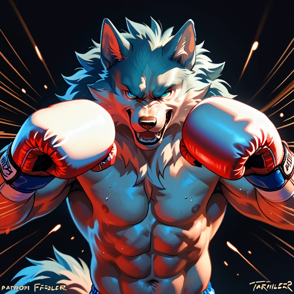 source_anime, cartoon, shirou ogami, wolf anthro, black background, detailed, (cel shaded, flat colors):1.5, half body, by wfa, by taran fiddler, confident, strong posture, heavyweight, muscular, very muscular, bulging arms:1.2, detailed eyes, shirtless, open mouth, stern face, white boxing gloves, punching, boxing pose, punching at viewer, speed lines