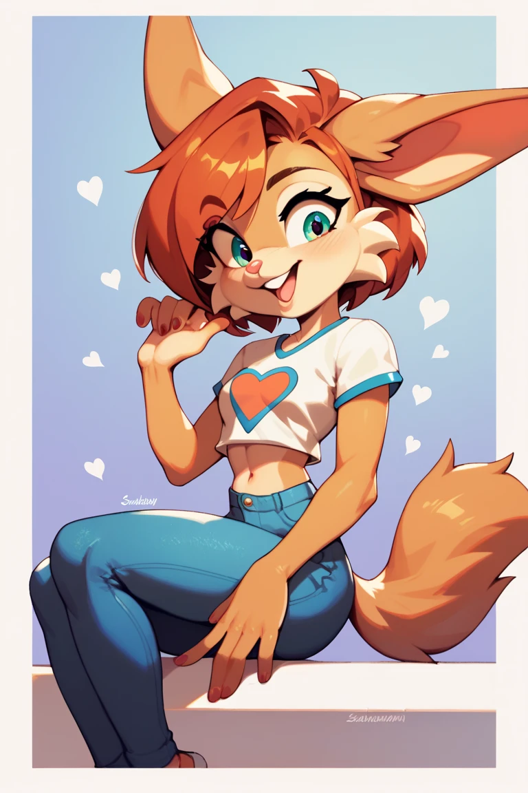 Daisy dingo 