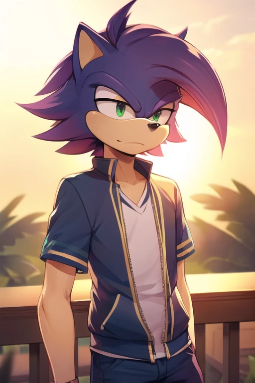 Male human teenager amirhossein ajorloo sonicfurrymix style 