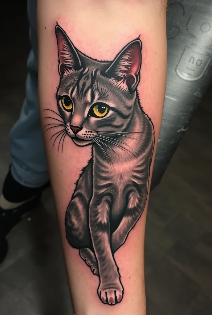 Cat, hermandad, paint brush, tattoo concept, stars, scout, flor de Liz,