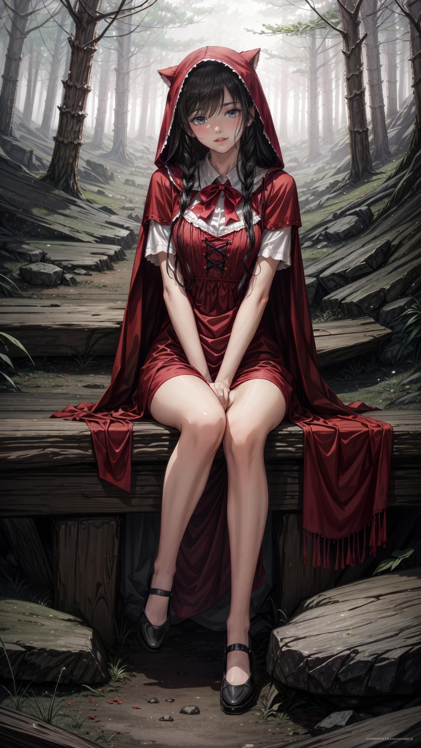 top quality,  top quality ,  High Definition , An exceptional masterpiece, perfect artwork,  There are paid benefits  , anime girl in  Little Red Riding Hood sitting on rock in forest, Anime picture by Shi Tao ,  pixib,  Fantasy Art ,  black and white pictures in a red dress ,  Little Red Riding Hood,  wearing a beautiful red cloak , little  Little Red Riding Hood, thief  Little Red Riding Hood,  beautiful anime style art, High quality anime art, High quality anime artstyle, at  pixib,  Monochrome ,