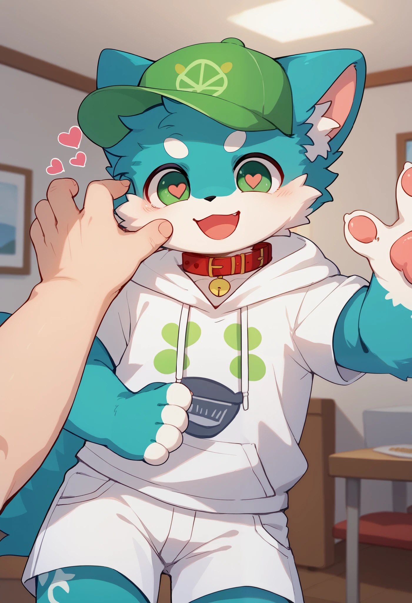  very detailed な, very detailed , gray hair with blue fur ,,male,骨を見てExcited,Heart Eyes,participate,Red collar, green white and colored hat, cute face, fluffy fur like one,Excited,Horny boy,Smiling face, Stylish Room,：cutesy poo [pie]：say in simpery voice,：act cute to guys﻿,kitten,Dropped ears,Beautiful room,,Cheek your hands ,Heart Eyes,Want, into white shorts,WHITE SHORT SLEEVE HOODIE 