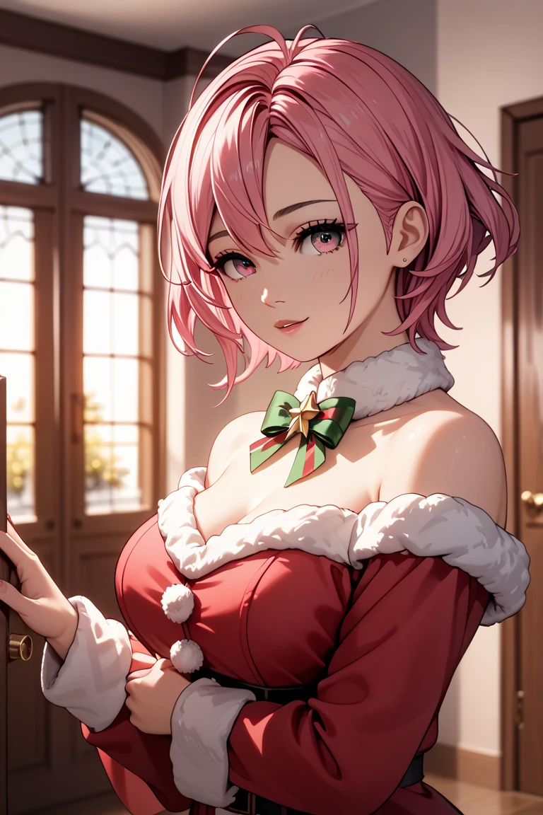 ((Masterpiece, Best Picture Quality, High Quality, Ultra High Quality, Depth of Field, 4K, High Definition)), Dynamic Composition, One Beautiful Girl, Aira Shiratori, (Left Up Bang Asymmetrical Short Hair), Drippy Hair, Stupid Hair, Pink Hair, Pink Eyes, Sunset, Greeting Visitors at the Door, Sexy Miniskirt Santa Costume, Glad,