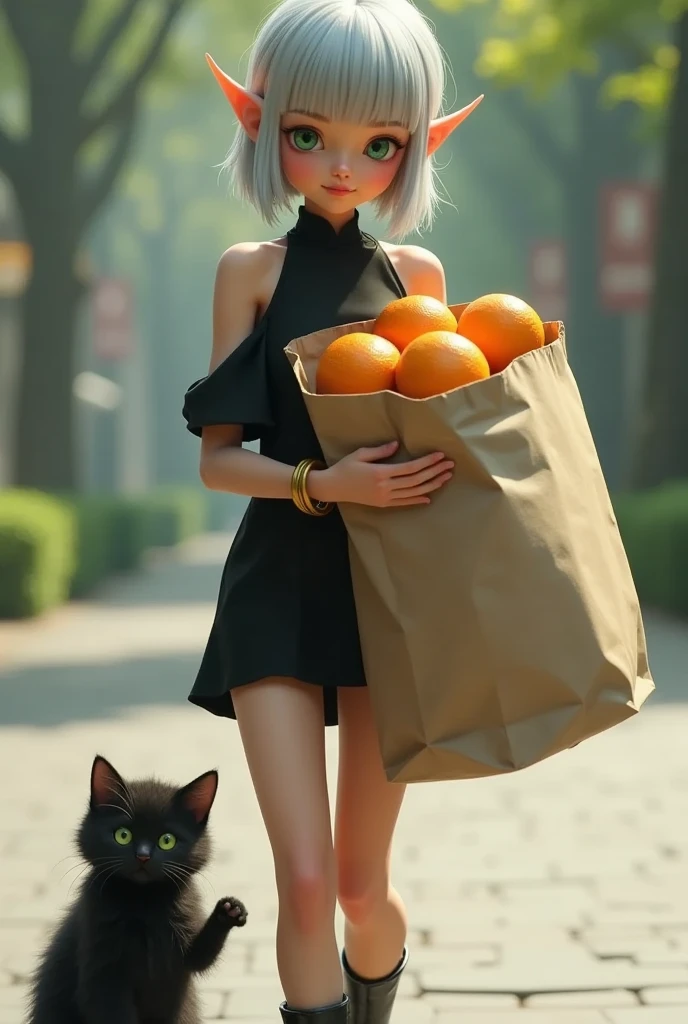 1 lady, solo, A elven lady\(silver bob cut, blunt bangs, green eyes, Pointy Ears, gold bangle, bare shoulder black mini dress, black short boots\) is walking home from shopping, carrying a large paper bag filled with oranges to her chest. with a fluffy black kitten\(no extra tails\) at her feet