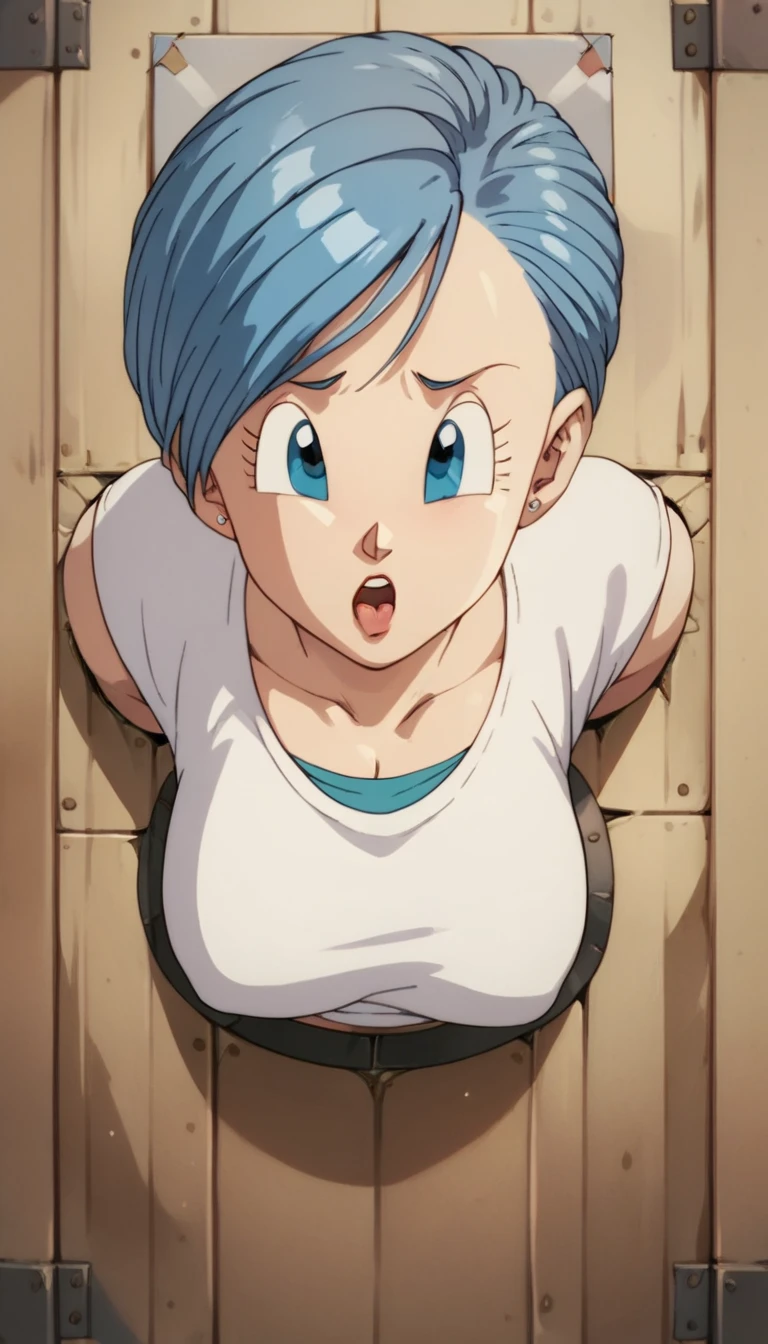 Bulma, Stuck-in-Wall/Glory Wall, 