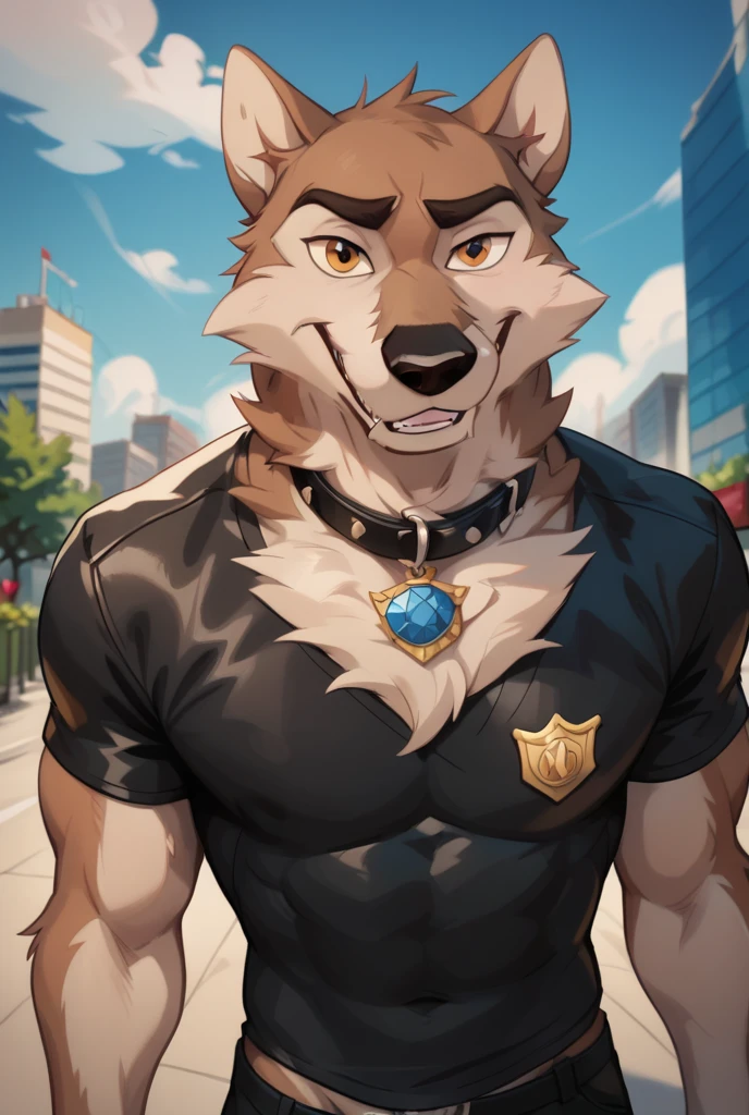 Accurate, High Resolution, Masterpiece, anthropomorphic, furry wolf, wearing a black shirt with the text "anthro unit", black leather collar, badge dog style pov