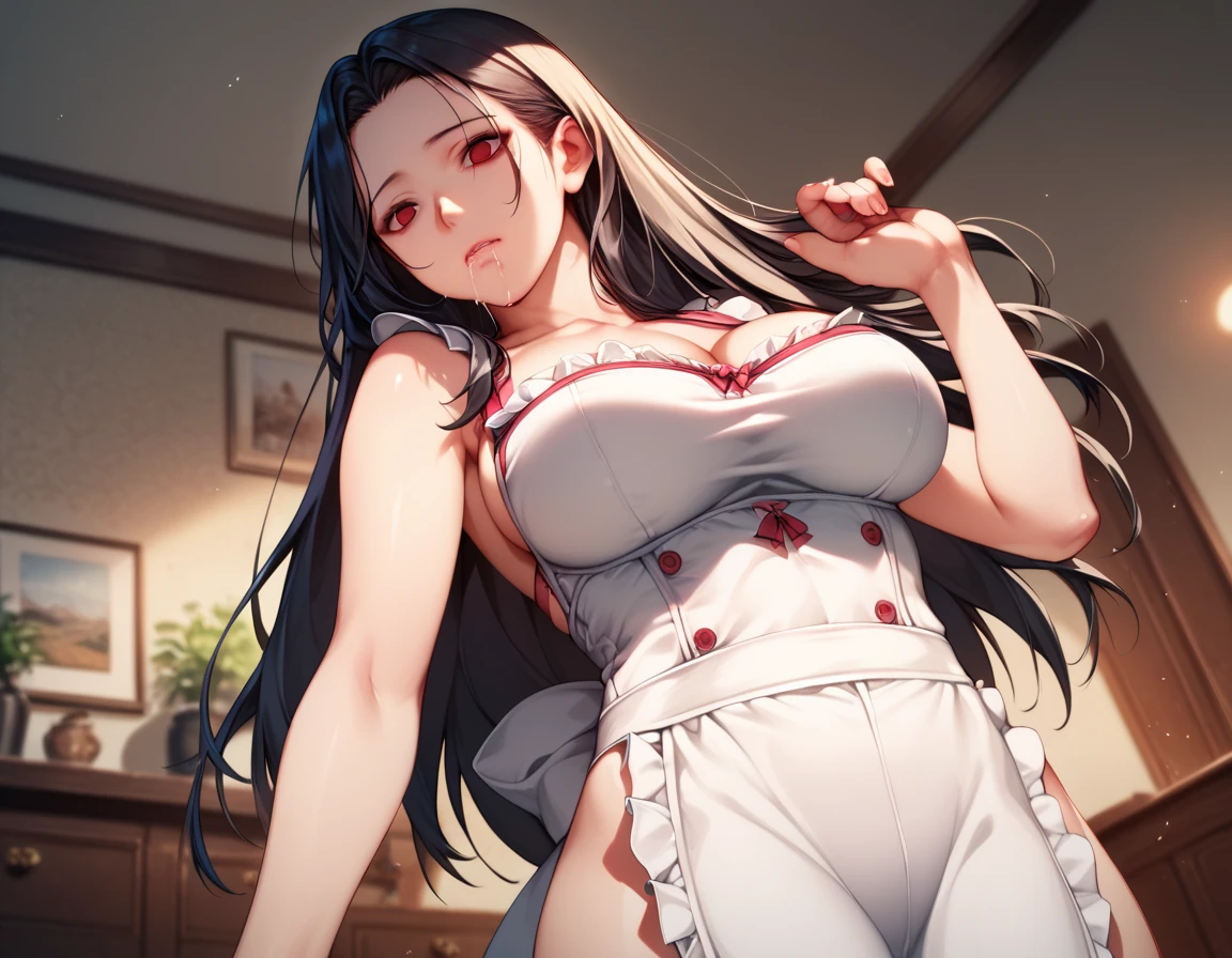 Score_9,Score_8_up,Score_7_up,Score_6_up,Score_5_up,Source_anime,BREAK,detailed CG illustration,high res,2 matured females,(tilted head),(looking straight forward),standing,large breast,red eyes,empty eyes,chest nut mouth,saliva,drooling,(black long hair),female,dazed,Break,wearling white apron on lingerie,living room,(detailed background),cowboy shot,from below,