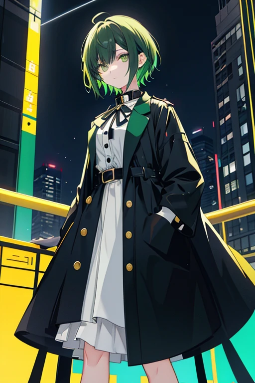 Game Art　 anime style　woman　 cool 　cute　 beautiful　 shows the whole body　Perfect hands that project from head to toe
Ultra Detailed 　 top quality 　masterpiece　 cool　Height: 170cm　 black, white and green eyes older sister 
garments
Black slacks wearing a black and yellow long coat 　The long coat has a collar 　 her collar is standing up 　 high neck　 asymmetry　button　　belt　 Intricate Design
black yellow green line yellow green line 
hairstyles 
Short hair M-shaped bang 　Hair color is black　 The inner color of her hair is green

I don't have anything in my hands

facial expression and posture
A calm and careful look　Relax your shoulders 、 Gently Looking Ahead Black Background Neon Night Moon Standing Above Buildings 
