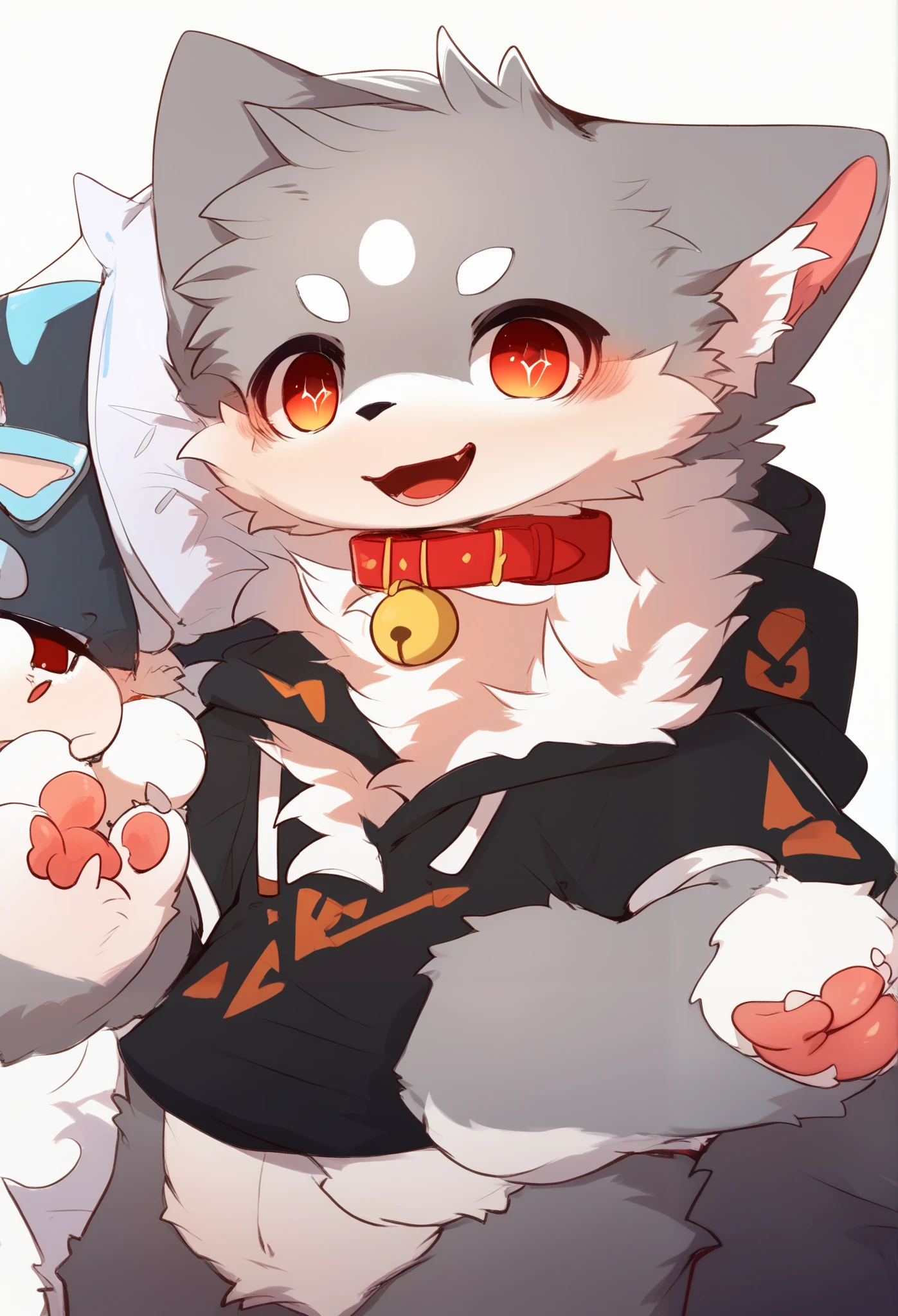  very detailedな, very detailed, gray fur white hair ,Age 15,male, excited to see bones , wolf fur,Excited,participate, cute face, fluffy fur like one,Horny boy,Red collar,cute ears ,Fluffy Ears ,Fluffy Ears ,Show your legs,Show me a paw , hold a red collar and string in your hand, cute fur boy , boy, heart eyes,Horny boy , black back ,White background, blush nose ,Alone,Droopy ears, Black Shorts, Black Short Sleeve Hoodie 