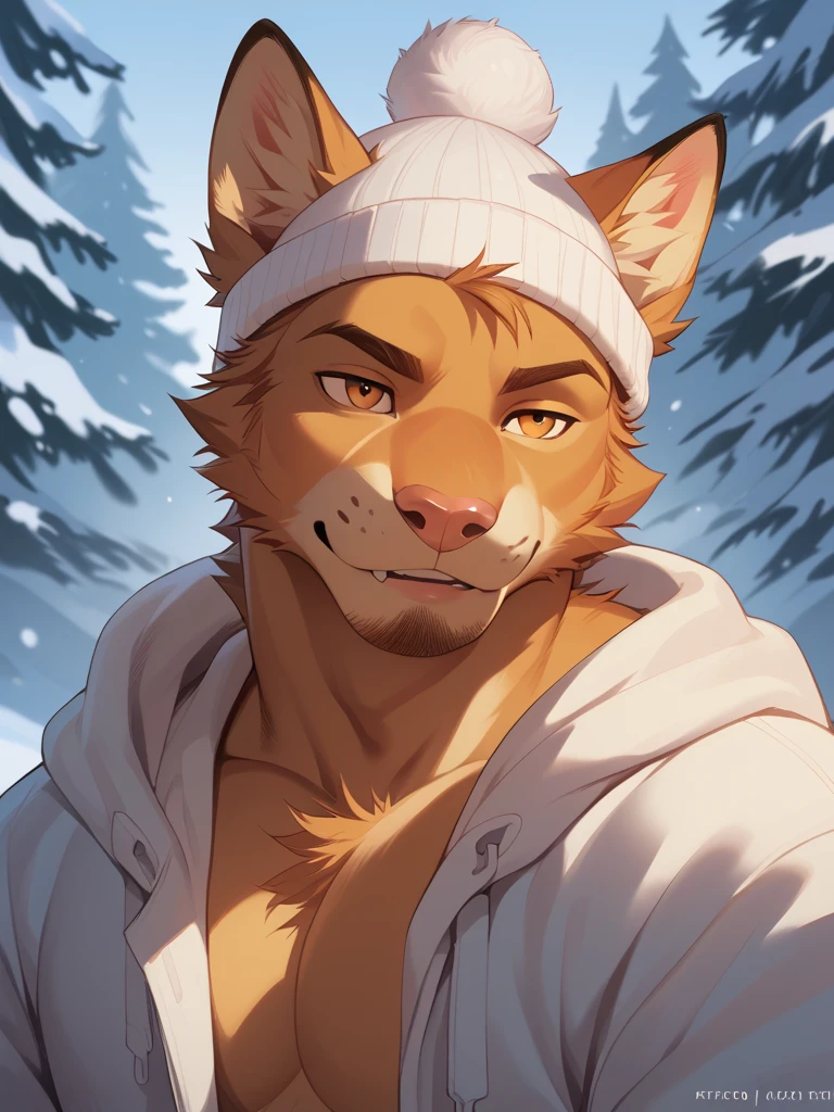 Male cat, furry, adult male, bara art style, best quality, thick stubble, bodybuilder, muscular, body hair, winter forest, naked torso, winter clothes, Detailed face, New Year's hat on your head, garland around your neck