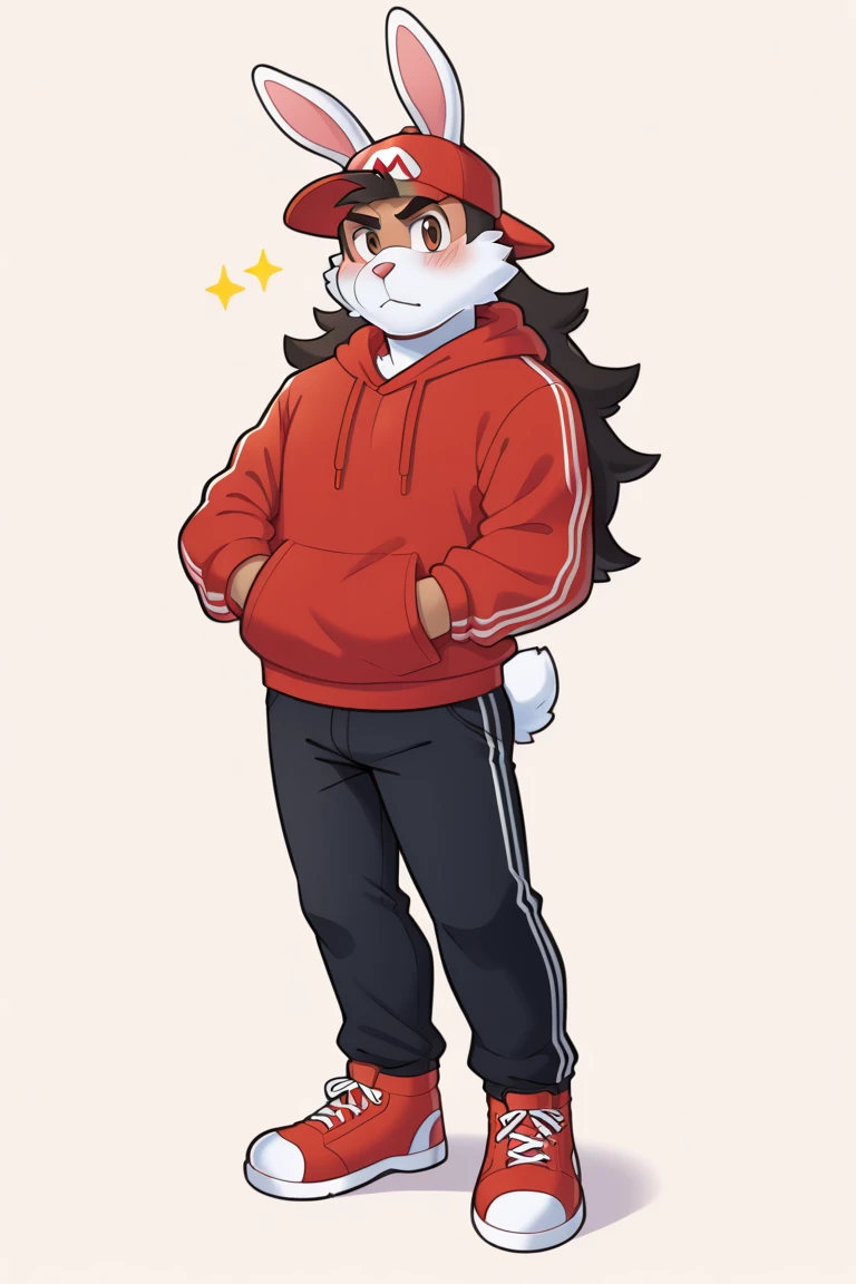 masterpiece, best quality, expressive eyes, perfect face, , furry bunny, white fur, bunny tail, white bunny ears, solo, surpriced, blushed, black hair, long hair, red baseball cap, black shirt, red hoodie, black sports pants, red sport shoes, brown eyes, full body, in a magic forest, male bunny, standing up, male, Mario 2D art style,