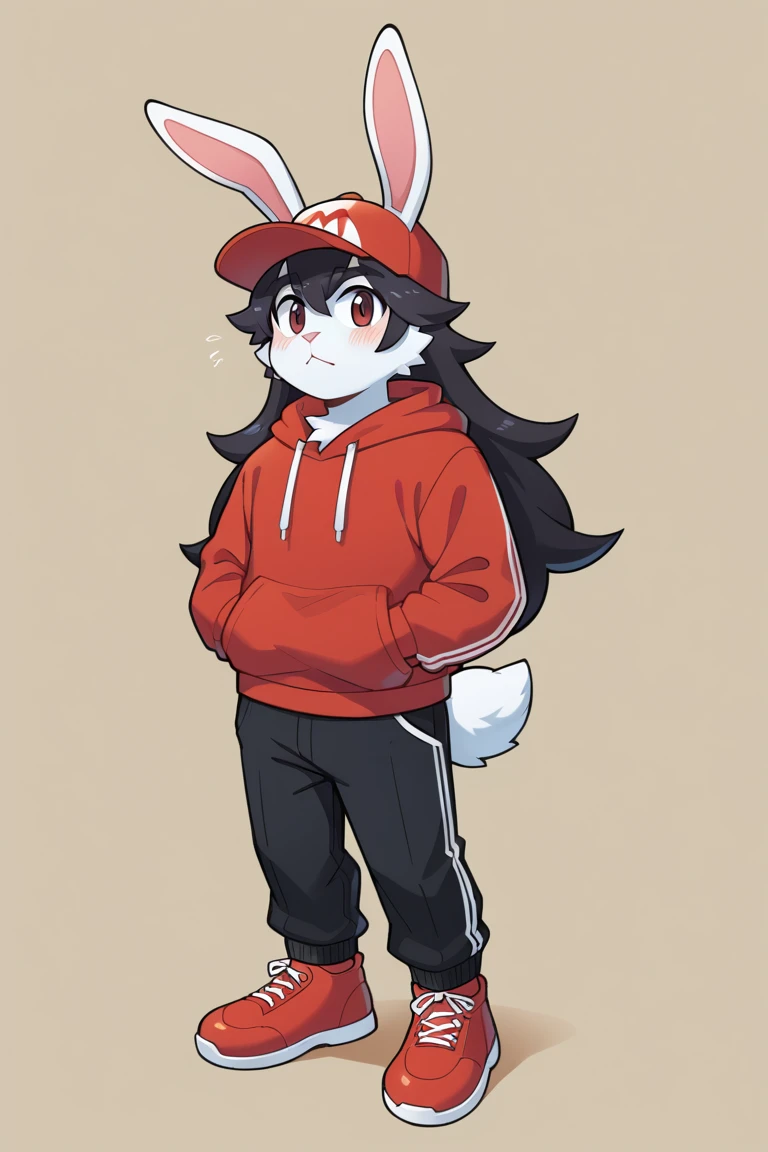 masterpiece, best quality, expressive eyes, perfect face, , furry bunny, white fur, bunny tail, white bunny ears, solo, surpriced, blushed, black hair, long hair, red baseball cap, black shirt, red hoodie, black sports pants, red sport shoes, brown eyes, full body, in a magic forest, male bunny, standing up, male, Mario 2D art style,