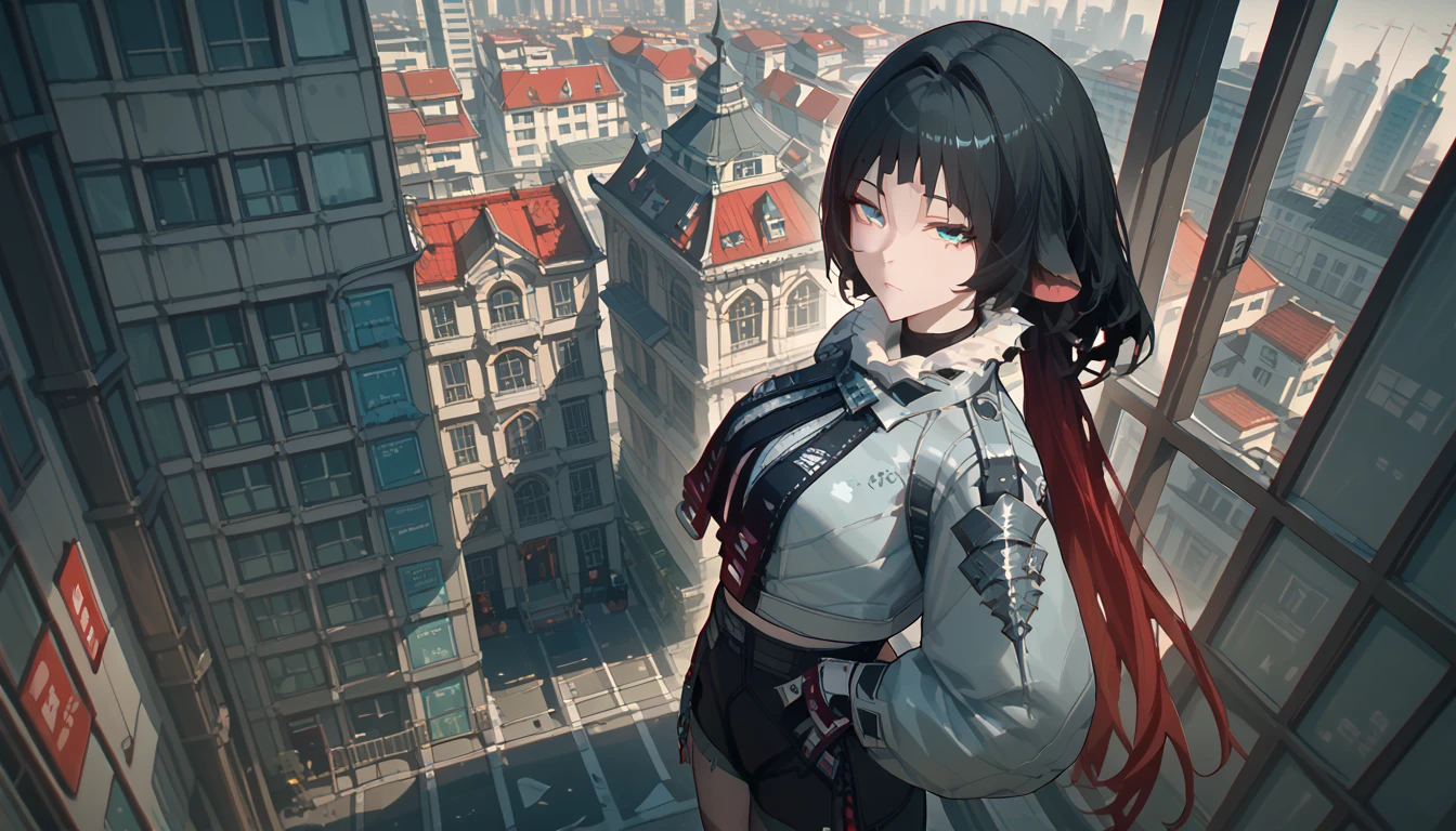 yanedoe- zzz, aqua eyes, long hair, black hair,  red hair ,animal ears,  looks at the viewer, Above the building,I look at the city 