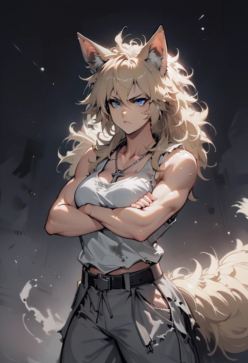 score_9, score_8_up, score_7_up, source_anime, 1woman, A woman, a werewolf woman, light blonde messy long mane, blue eyes, light skin, blue eyes, buff frame, strong, messy clothes, white tank top, baggy pants, tomboy, gray jacket, wolf ears, night time, red belt, a cross necklace around her neck, bust, strong arms, dynamic pose, Oil painting finish, aid210,
