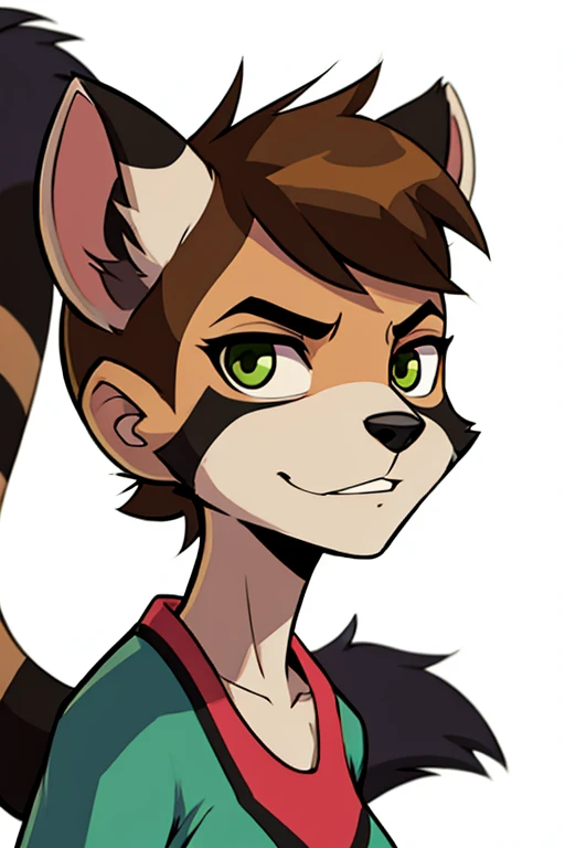 Female furry teenager raccoon ben 10 style