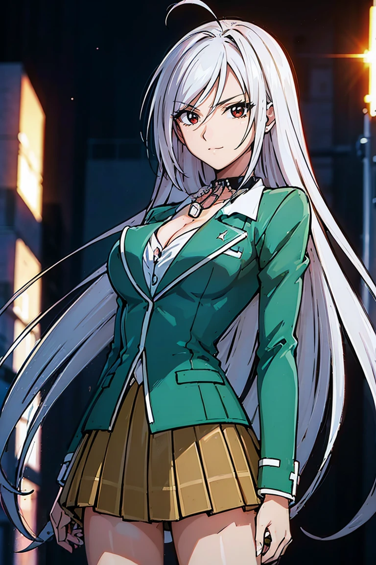 1 girl, moka akashiya, long silver hair, red eyes with slit pupils, large breast, school uniform, green blazer, white shirt, brown skirt with black square pattern, standing, outdoor, smile, cocky expression, castle background,