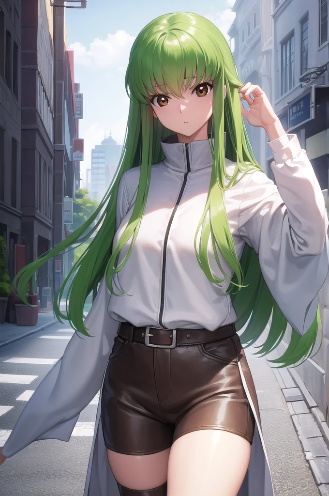 codegeasscc, cc, (brown eyes:1.5), green hair, long hair, straight hair,
BREAK straitjacket, (white straitjacket:1.5), wide sleeves, belt, black belt,
BREAK outdoors, city,
BREAK looking at viewer, (cowboy shot:1.5),
BREAK (masterpiece:1.2), best quality, high resolution, unity 8k wallpaper, (illustration:0.8), (beautiful detailed eyes:1.6), extremely detailed face, perfect lighting, extremely detailed CG, (perfect hands, perfect anatomy),