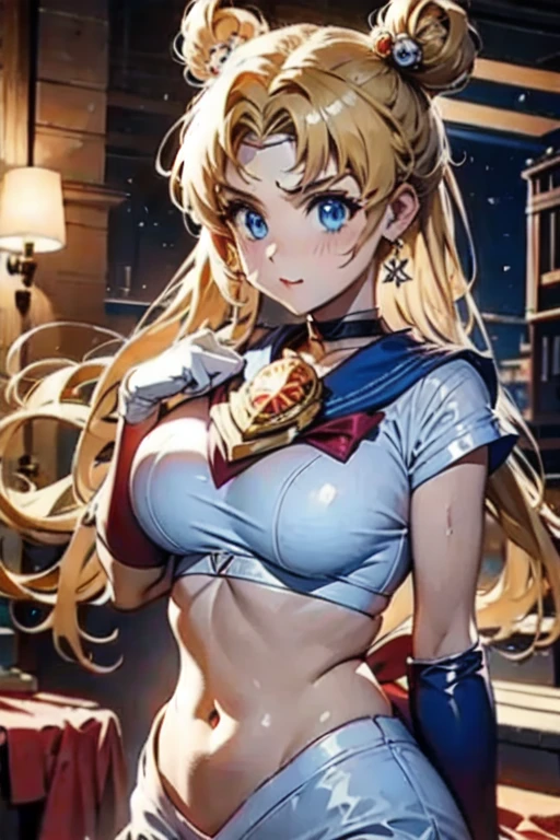 セーラームーン25 v1.0