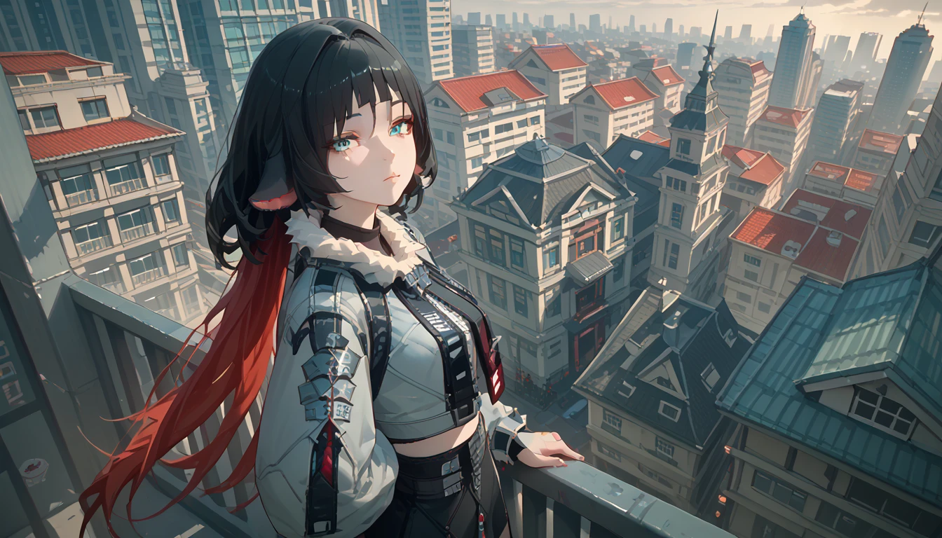 yanedoe- zzz, aqua eyes, long hair, black hair,  red hair ,animal ears,  looks at the viewer , Above the building,I look at the city 