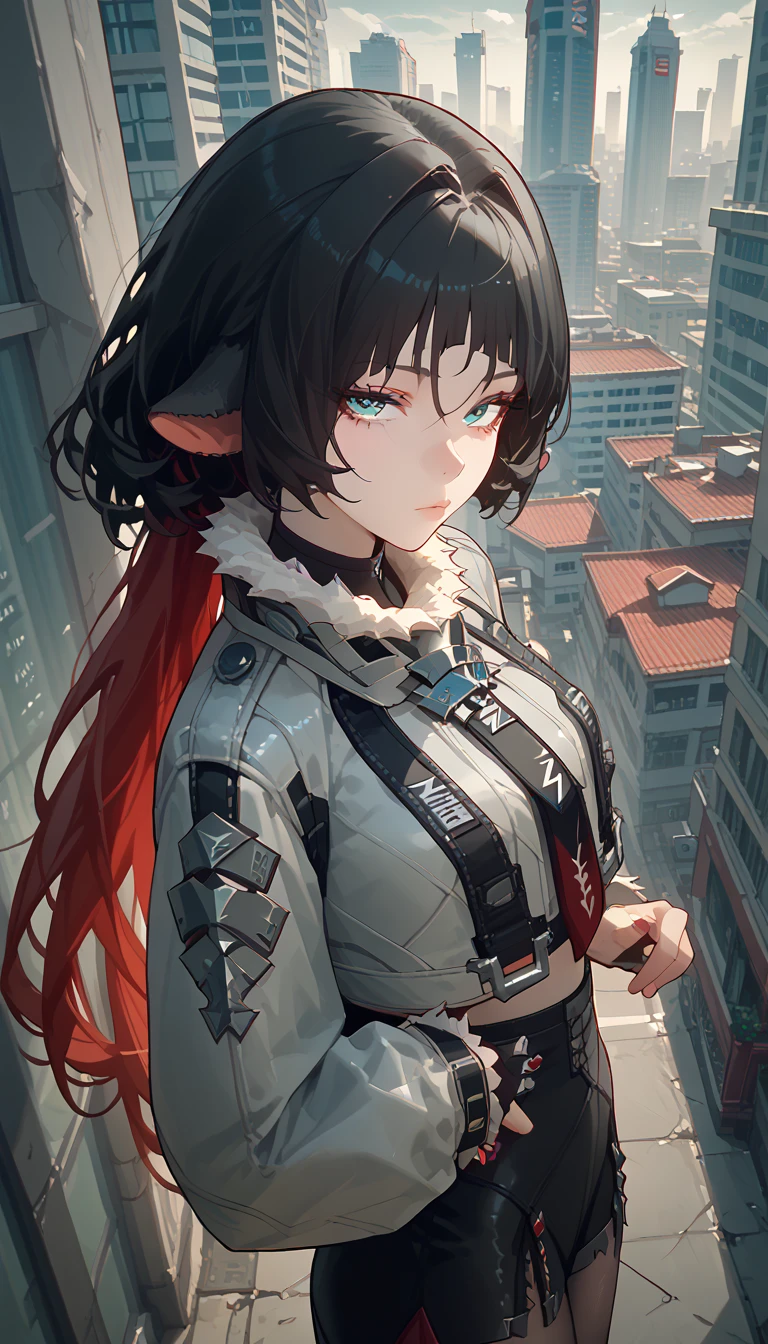 yanedoe- zzz, aqua eyes, long hair, black hair,  red hair ,animal ears,  looks at the viewer , Above the building,I look at the city 