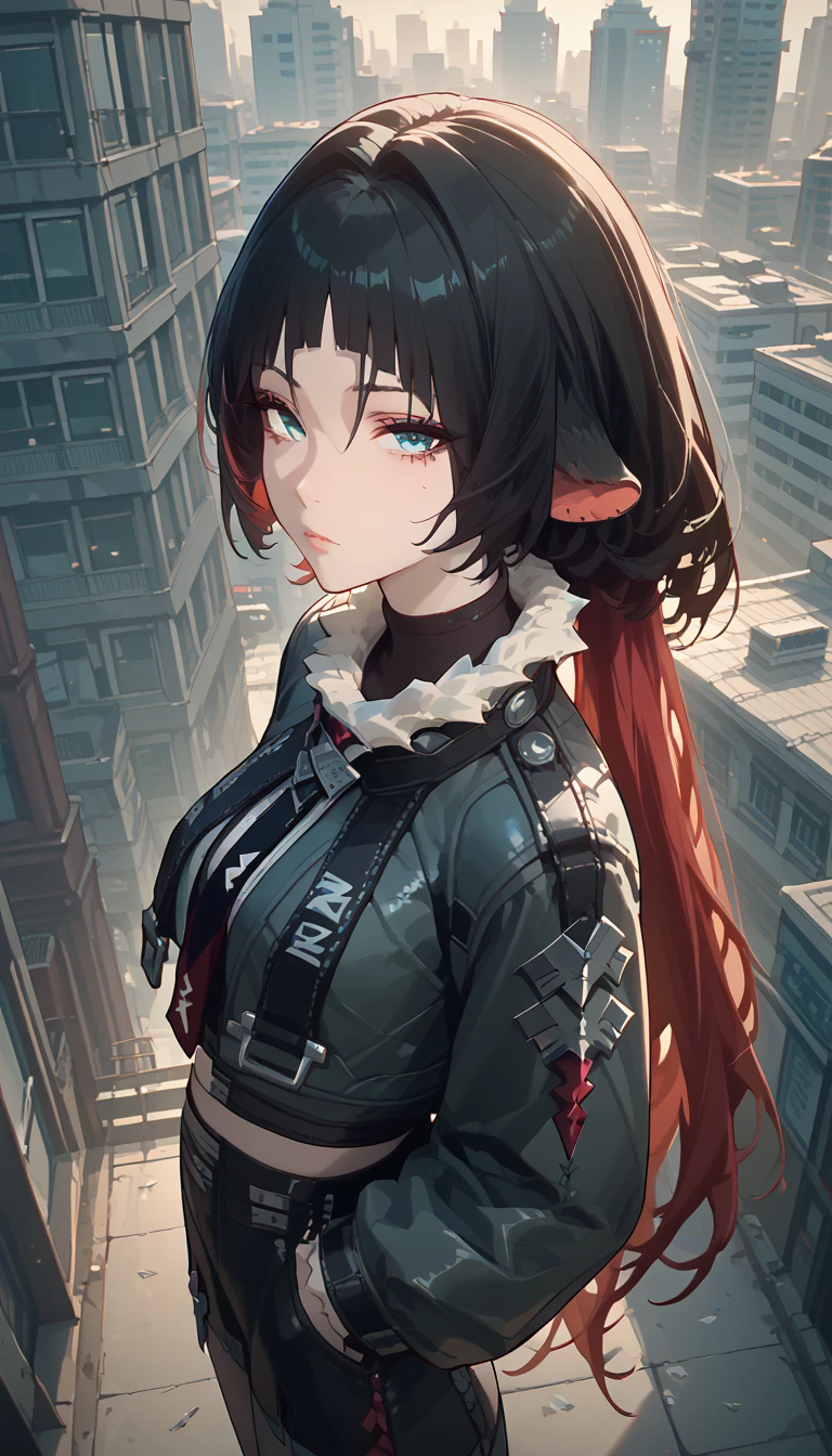 yanedoe- zzz, aqua eyes, long hair, black hair,  red hair ,animal ears,  looks at the viewer , Above the building,I look at the city 