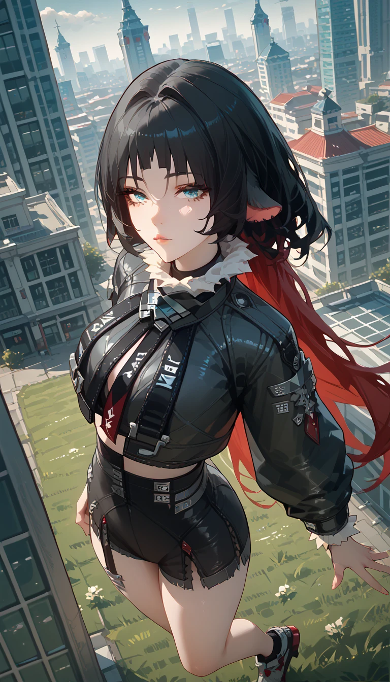 yanedoe- zzz, aqua eyes, long hair, black hair,  red hair , Animal ears,  looks at the viewer , Above the building,I look at the city, sexy clothes , lies on the grass,  legs raised up , 